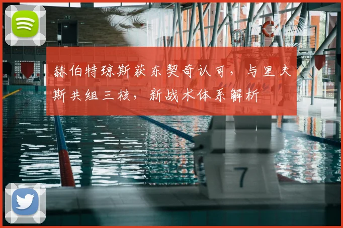 赫伯特琼斯获东契奇认可，与里夫斯共组三核，新战术体系解析